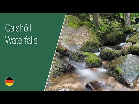 Gaishöll Waterfalls | Black Forest | Fern + Forest