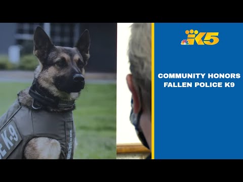 Death of Seattle police K9 'just a huge loss'