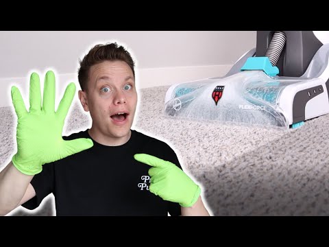 YouTube video about The Ultimate Guide to Reviving Slightly Damp Carpet