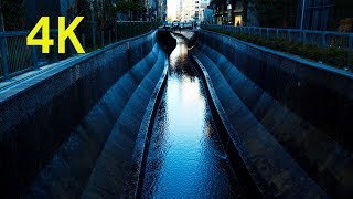 4K 2019 Japan Tokyo Shibuya time lapse 渋谷 スクランブル交差点 タイムラプス