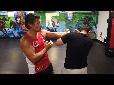 Wing Chun Magnetic Zone: How to Control Distance Instantly / Pt 1