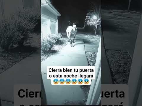 Cierra la puerta #viral #fyp #shorts #puertas #cerrar #visitante