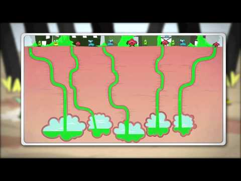 Beverly Hills Optometry - BlephEx Animation HD