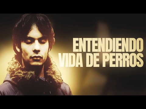 Understanding A Dog's Life: The Bunkers' Most Important Album