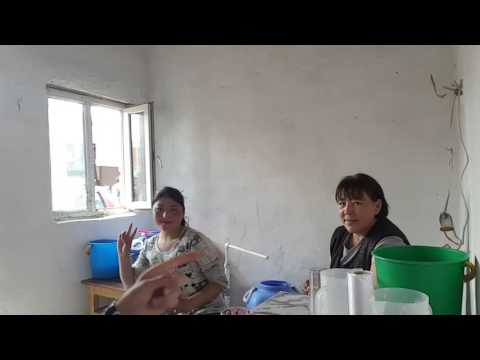 Drinking Horse Milk In Mongolia