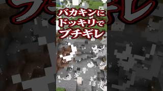 【マイクラ】バカキンにバレバレなTNTドッキリを仕掛けたら展開がヤバすぎたｗｗｗ ドイヒーくん　#マイクラ #マインクラフト #minecraft #shorts #ドッキリ