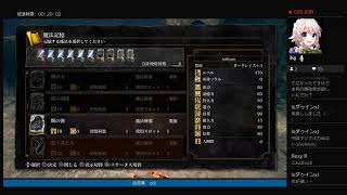 ダークソウルリマスター　２周目参加型　DLC～