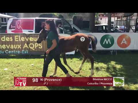 Sprinter Sacré Show 2018 : Lot 98 - N (Provence)