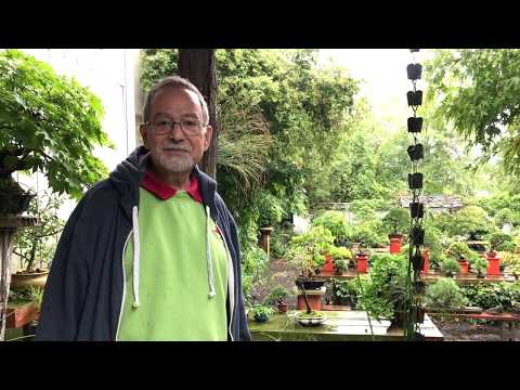 Visiting The International Bonsai Arboretum - The Bonsai Supply