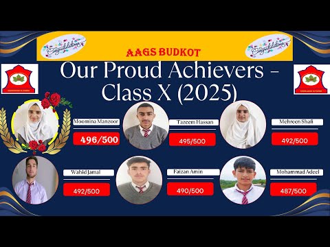 Class 10th Result 2025 AAGS BUDKOT| 100% Pass Percentage | 33 Distinctions