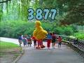 Sesame Street Episode 3877 2000