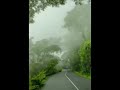 Bike Ride In Fog Whatsapp Status Foggy Road Fog Ride Status Foggy Nature Status Mountain Road