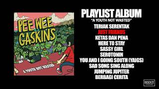 Download lagu PEE WEE GASKINS - A YOUTH NOT WASTED mp3