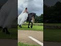 Beautiful Black African Horse With Beautiful African ️ Girl Short Viral Trending Trend