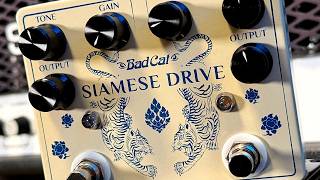 Video thumbnail for Two Drives. One Monster Tone: Bad Cat Siamese Overdrive by Michael Nielsen - Big Hairy Guitars