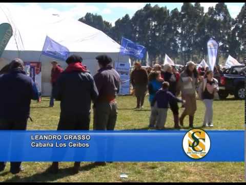 LEANDRO GRASSO - Cabaña: Los Ceibos e invitados - Gardey - Tandil - 18/09/2013