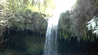 Download lagu Samson Lei Ali'i mp3 Download lagu Samson Lei Ali'i mp3