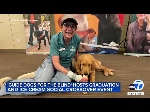 Puppy Ice Cream Social! (KGO)