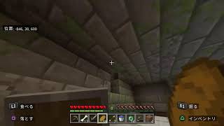 【マイクラ】罰ゲーム企画　エンドラ討伐RTA1時間半切れるまで終われません