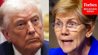 'Bowing To Foreign Dictators': Elizabeth Warren Shreds Trump For Approving Nvidia-China Chip Deal