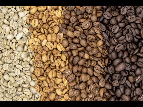 Grain Dryer