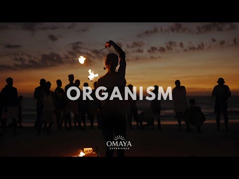 YASS, Cee ElAssaad, FNX OMAR - Organizm (Madzoni 'Marea' Edit)