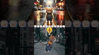 GINGER CAT 😿 WORKS HARD TO BUY MILK TEA #catmemes #cat #funny #shorts #fyp