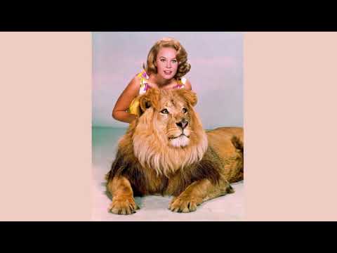 WDR 11.01.1966 - Serienstart „Daktari“ im US-Fernsehen