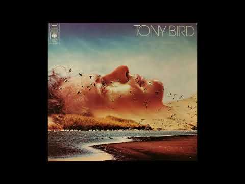 Tony Bird -  Rift Valley