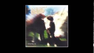 Billy Kirsch Trio - Easy To Love