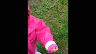 preview picture of video 'Anna walking at the wineyard.wmv'