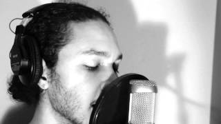 A Perfect Circle - The Hollow - Vocal Cover