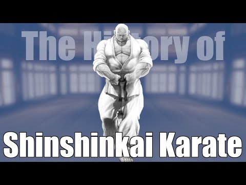 Combat Clarification - Grappler Baki Styles Explained: The History of Shinshinkai Karate