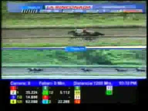 8VA CARRERA DOM 22 JULIO LA RINCONADA AUDIOHIPISMO