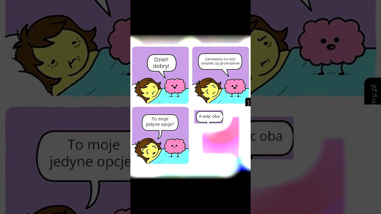 Polskie Memy – Najśmieszniejsze Memy PL | Kompilacja