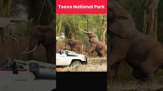 Tourist Destinations in Kenya