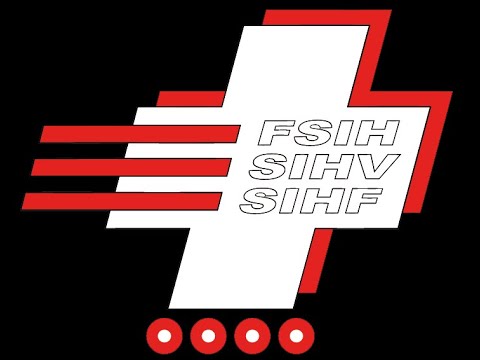 Inlinehockey Playoff Final NLA (3)