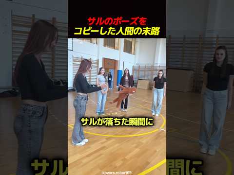 サルのポーズをコピーした人間の末路