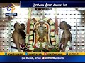 Unjal Seva Performed To Lord Srivaru At Tirumala