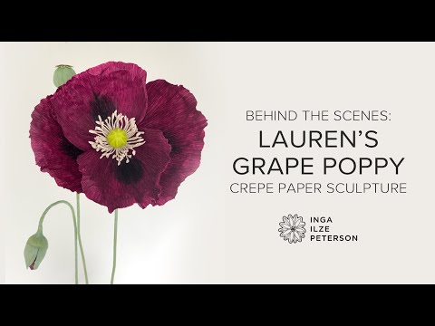 Crepe Paper Laurens Grape Poppy Timelapse