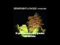 Department Of Eagles - In Ear Park 
