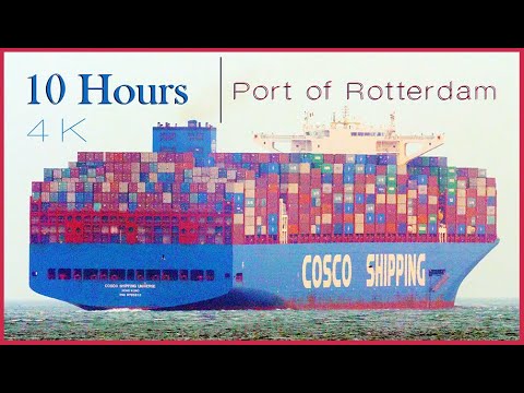 10H Port of Rotterdam - Ship Spotting 4K