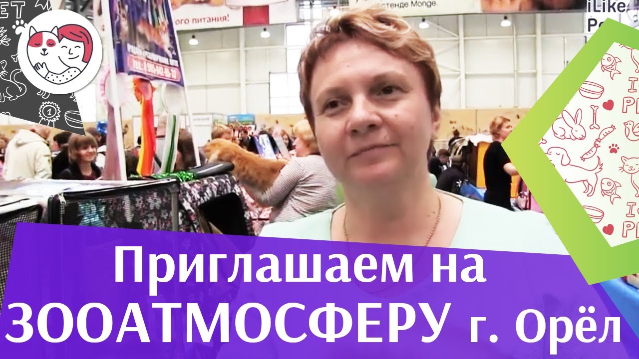 Приглашение на ЗООАТМОСФЕРУ в Орле ilikepet