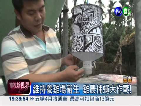 雞農自製捕蠅器 3天死蠅堆像山!