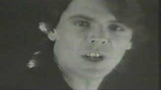 SILVER POZZOLI - Around my Dream
