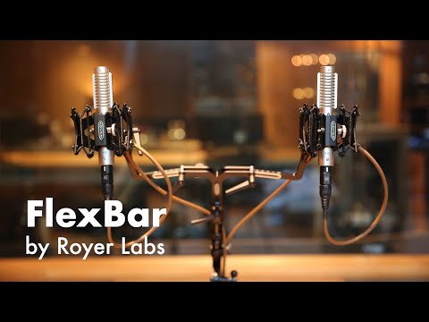 The Royer FlexBar  Dual Microphone Utility Mount