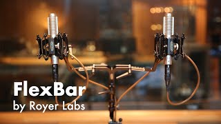 The Royer FlexBar  Dual Microphone Utility Mount