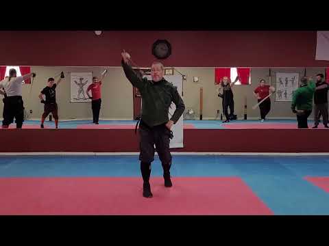 Bolognese Form for Beginners: Walking in the Guards (2023)