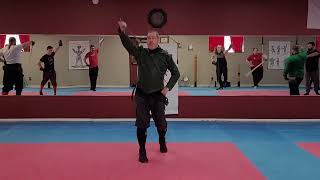 Bolognese Form for Beginners: Walking in the Guards (2023)