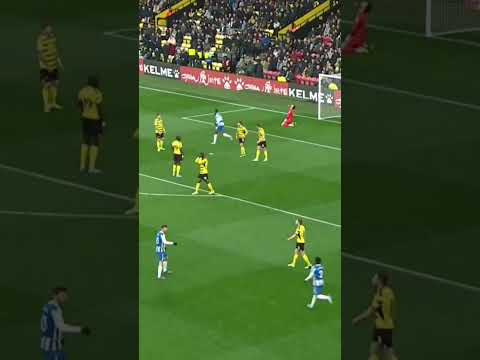 NEAL MAUPAY LAST GOAL FOR BRIGHTON